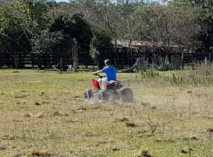 Paraguay Quad